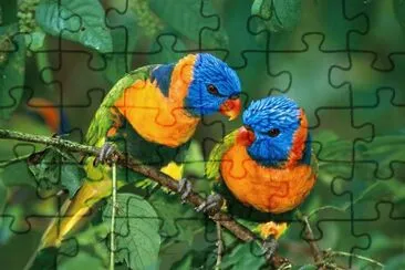 aves