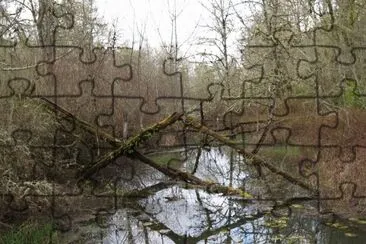natural geometry