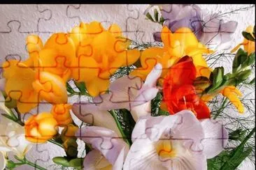 ramo jigsaw puzzle