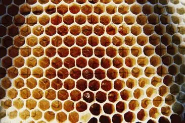 beehive