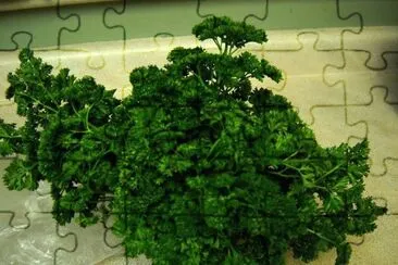 beautiful parsley jigsaw puzzle
