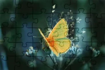 פאזל של butterfly fantasy