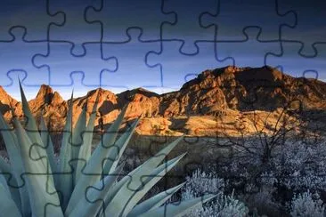 פאזל של desert landscape