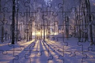 771 jigsaw puzzle