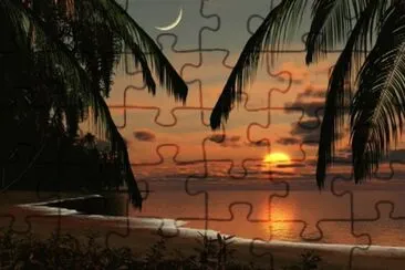 772