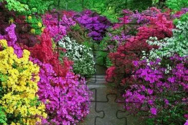 JardÃ­ jigsaw puzzle