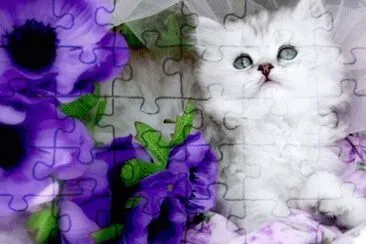 image jigsaw puzzle