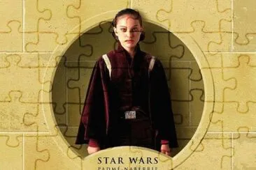 PADME jigsaw puzzle