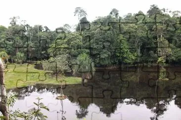 Amazonia Ecuatoriana