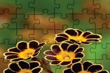 flores jigsaw puzzle