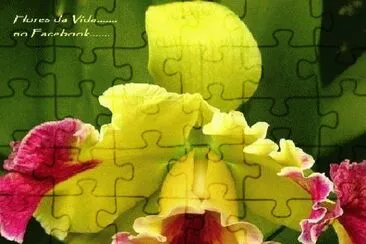 flores jigsaw puzzle