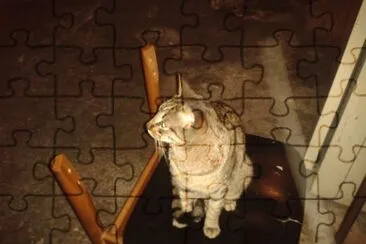 Gato en silla jigsaw puzzle