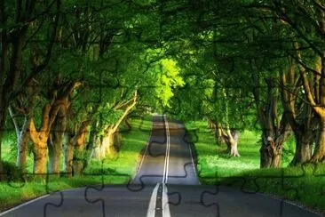 tÃ­pica carretera de Irlanda
