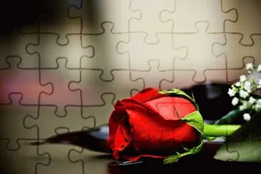 rosa jigsaw puzzle