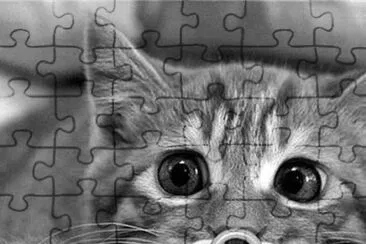Amanda Ferreira jigsaw puzzle