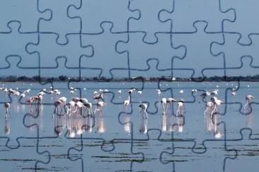 Fenicotteri in Camargue jigsaw puzzle