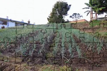 huerta casera jigsaw puzzle