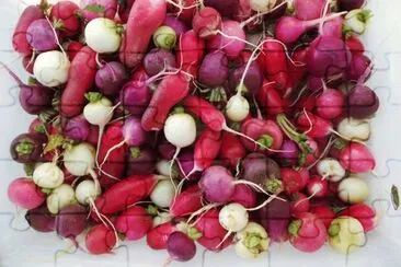 vintage veggies jigsaw puzzle