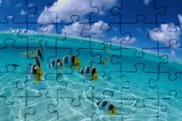 mar jigsaw puzzle