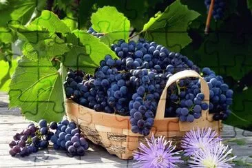 moras