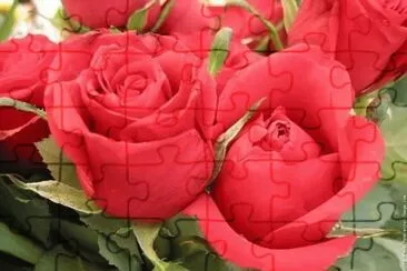 color jigsaw puzzle