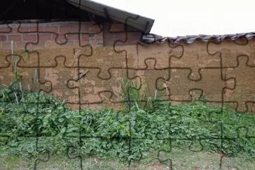 muro