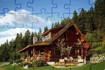 (172) jigsaw puzzle