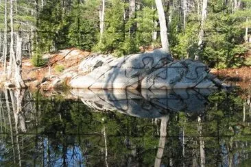 beaver pond jigsaw puzzle