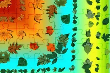 leaf seasons