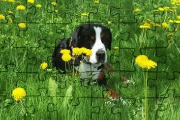 my friend jigsaw puzzle