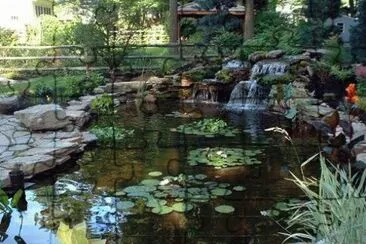 fish pond Philadelphia jigsaw puzzle