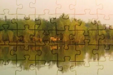CABALLOS jigsaw puzzle