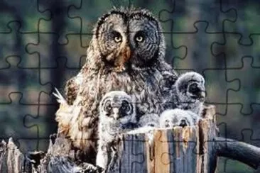mom#102