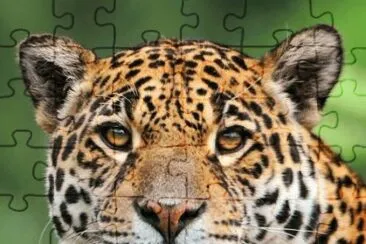 . jigsaw puzzle