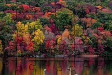 paisaje colorido