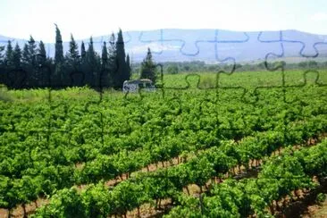 פאזל של VIÃ‘EDOS