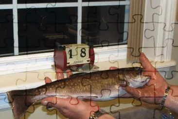 Got me a nice 3 pounder today jigsaw puzzle