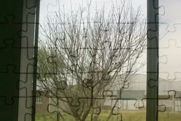 ARBOL CON PAJARITOS jigsaw puzzle