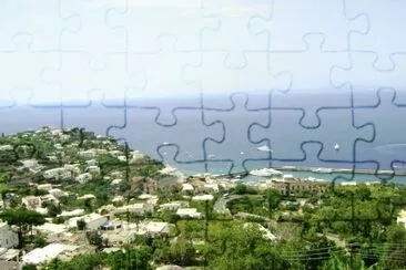CAPRI