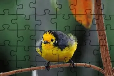 fluffy baby jigsaw puzzle