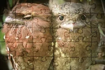 . jigsaw puzzle