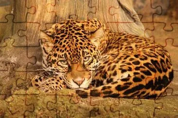 . jigsaw puzzle