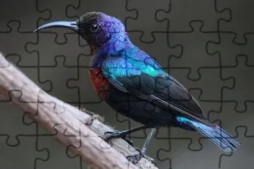 . jigsaw puzzle