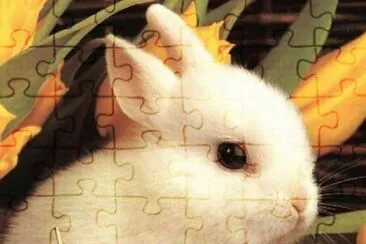 . jigsaw puzzle