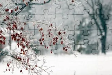 winter berries jigsaw puzzle