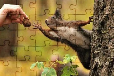 things jigsaw puzzle