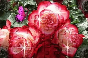 sol del desierto jigsaw puzzle