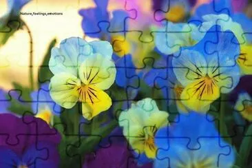 flores jigsaw puzzle