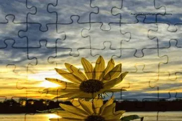 flores jigsaw puzzle