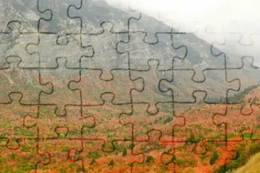 fall in Wyoming jigsaw puzzle